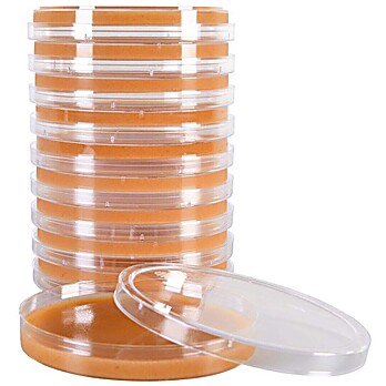 V9 Agar (V8 juice and potato flakes), for mycology