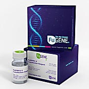 FuGENE® 6 Transfection Reagent