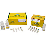 Zymo-Seq ATAC Library Kit