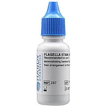 SpotDrops Flagella Stain, 15ml