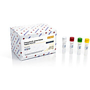 Chlamydia/Neisseria gonorrhoeae TaqMan PCR Detection Kits