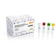 XMRV TaqMan RT-PCR Detection Kits