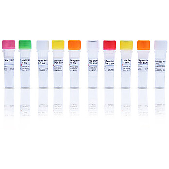 Homologous Recombination Assay Kit