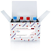 16S V3-V4 Library Preparation Kit for Illumina