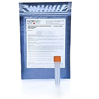 Samonella enterica Quantified Bacterial DNA Standard