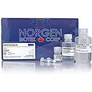 DNA Gel Extraction Kit