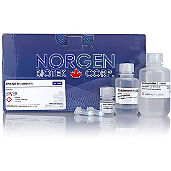 DNA Gel Extraction Kit