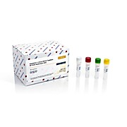 HCV TaqMan RT-PCR Detection Kits