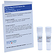 2X One-Step RT-PCR Master Mix