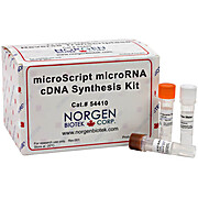 microScript microRNA cDNA Synthesis Kit