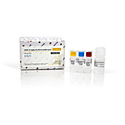 COVID-19 TaqMan RT-PCR Kit (E/RdRP genes)