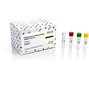Cladosporium cladosporioides TaqMan PCR Detection Kits