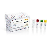 Ad5 Type C TaqMan PCR Detection Kits