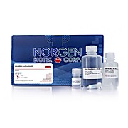 microRNA Purification Kit