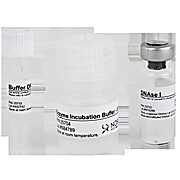 RNase-Free DNase I Kits