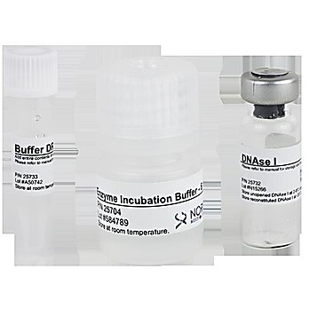 RNase-Free DNase I Kits