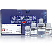 Dried Blood Spot DNA Isolation Kit