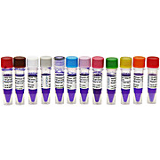 FullRanger 100bp DNA Ladder