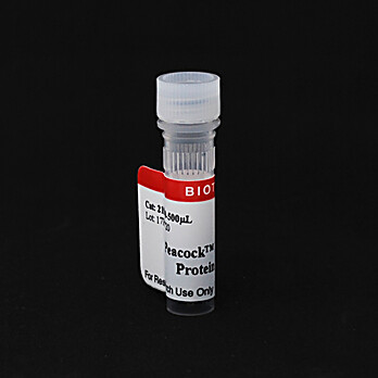 Peacock™ Plus Prestained Protein Marker