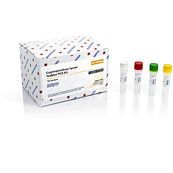 Cryptosporidium tyzzer TaqMan PCR Kit