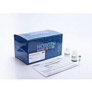 Saliva Exosome Purification Kit