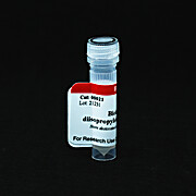 Biotin-cGMP