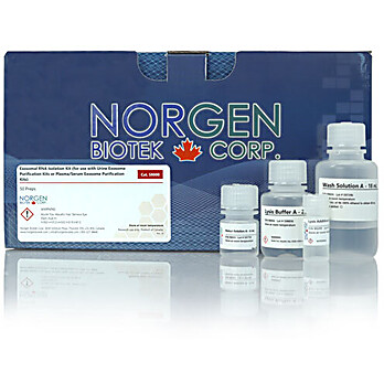 Exosomal RNA Isolation Kit (for use with Urine Exosome Purification Kits or Plasma/Serum Exosome Purification Kits)