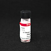 S-Nitrosoglutathione, 50mg