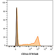 CD16 Mouse Monoclonal Antibody (3G8) - Biotium Choice