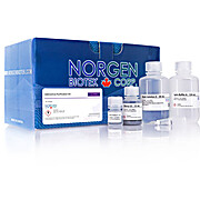 Adenovirus Purification Kit