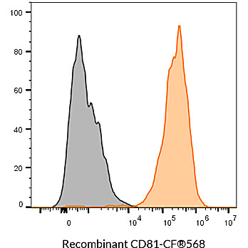 CD81 Recombinant Monoclonal Mouse Antibody (2304.81) – Biotium Choice