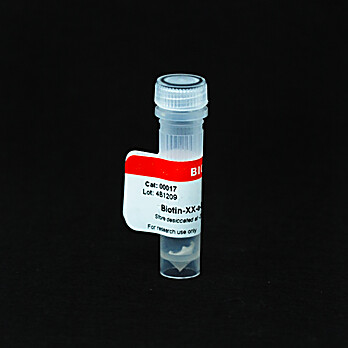 Biotin-XX-A-Bungarotoxin