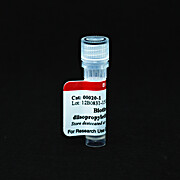 Biotin-cAMP