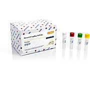 Parvo B19 TaqMan PCR Kit Dx