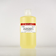 One-Step Lumitein™ Protein Gel Stain