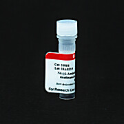 NAD-Hexylamine, Lithium Salt 1EA