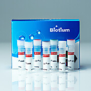 Transferrin (Human) CF® Dye Conjugates