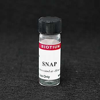 SNAP (S-Nitroso-N-acetylpenicillamine ), 50mg