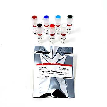 CF® Dye Succinimidyl Esters