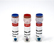 CF® Dye Biotin