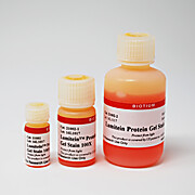 Lumitein™ Protein Gel Stain