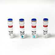 Near-IR CF® Dyes