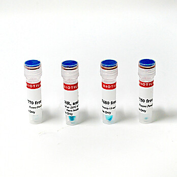 Near-IR CF® Dyes