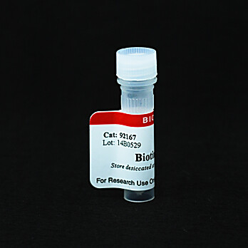 Biotin Azide 1mg