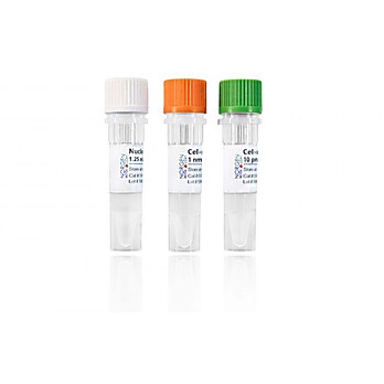 microRNA (cel-miR-39) Spike-In Kit