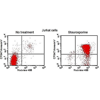 NucView® 488 Caspase-3 Substrate