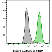 CD9 Recombinant Monoclonal Mouse Antibody (2310.9) – Biotium Choice