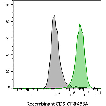 CD9 Recombinant Monoclonal Mouse Antibody (2310.9) – Biotium Choice