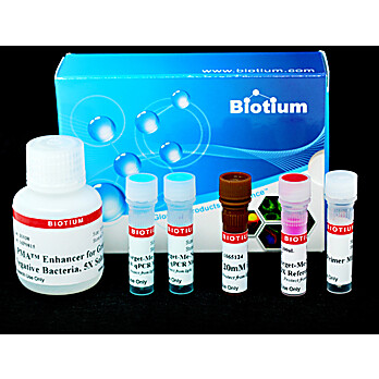 PMA Real-Time PCR Bacterial Viability Kit - E. coli O157:H7 (Z3276) 