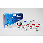 AccuBlue® High Sensitivity dsDNA Quantitation Kit